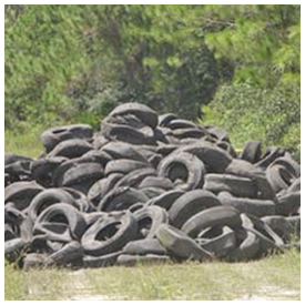 Who dumped and abandoned tons of tires in Flagler County?