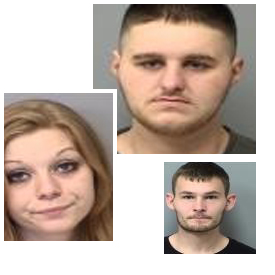 Drug and firearms violations lead to three arrests