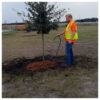 Eleven saplings installed by City at Riberia Pointe