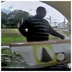 Man captured on surveillance video stealing Christmas tree