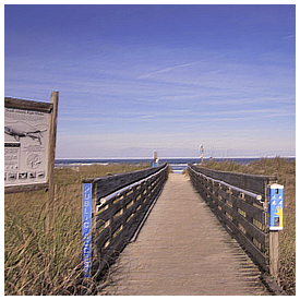 GTM Research Reserve installs BlueTubes
