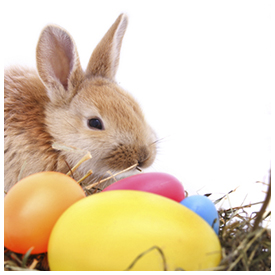 Free St Johns County Easter Egg hunts