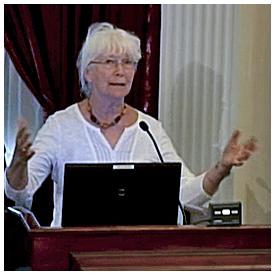 Residents ask St Augustine commission for event relief