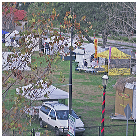 Commission may prevent new peak-season events at Francis Field