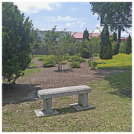 89-suggestions for Carwash Park and we were not in the running