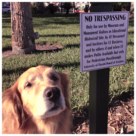 Citizen reaction results in recall of Loring Park trespassing signs