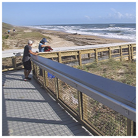 Free guided Beach Exploration event at GTM Research Reserve