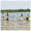 Seining in Guana Lake is perfect for the family