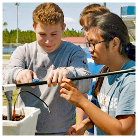 Teachers encouraged to apply for Blue School grant program