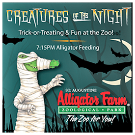 Trick-or-treating and fun at the zoo