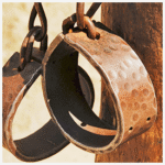 Florida house passes bill establishing Florida Slavery Memorial