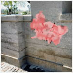 Just when you think they’ve learned their lesson