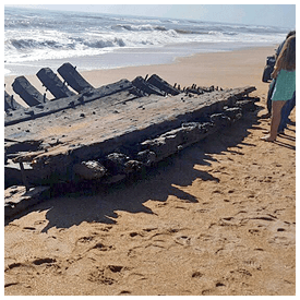 Have fun at the Beach Exploration at Research Reserve event