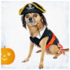 County holds Howl-o-ween Walk and costume judging