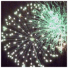 A Family Blast on New Year’s Eve