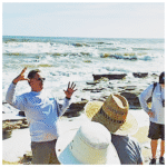 Free guided Marineland beach walk in April