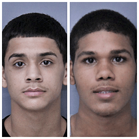 Two in custody and two at large after Tuesday night crime spree