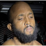 Defendant captured after wild goose chase